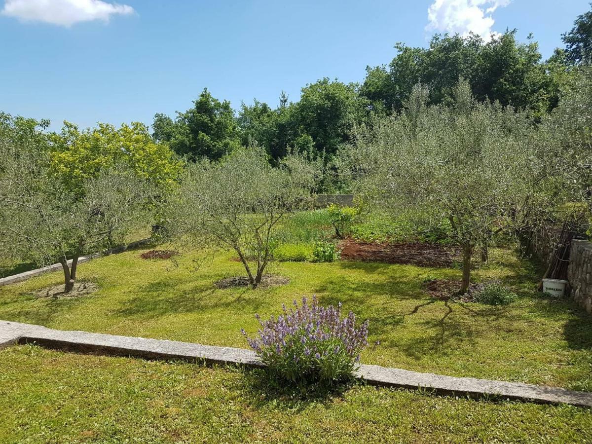 Apartmani Mariela Labin  Exterior foto